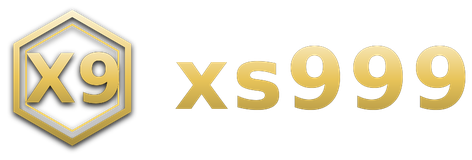 xs999 logo